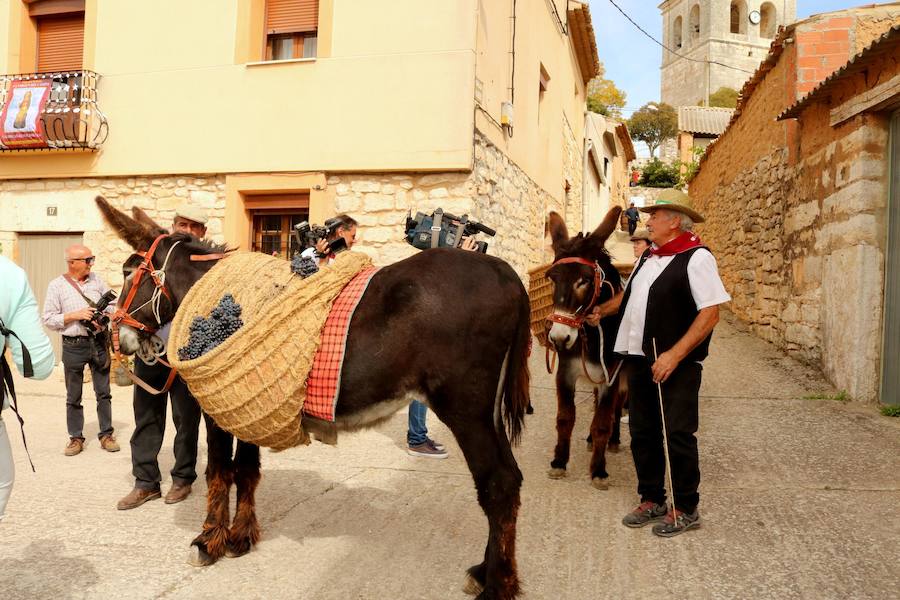 XX Fiesta de la Vendimia del Arlanza en Valdecañas de Cerrato (1/3)