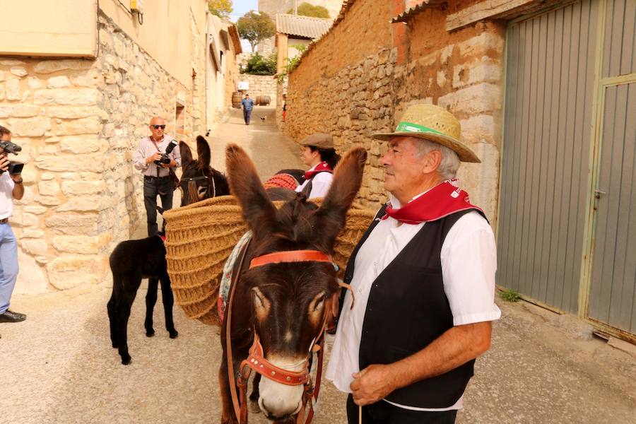 XX Fiesta de la Vendimia del Arlanza en Valdecañas de Cerrato (1/3)