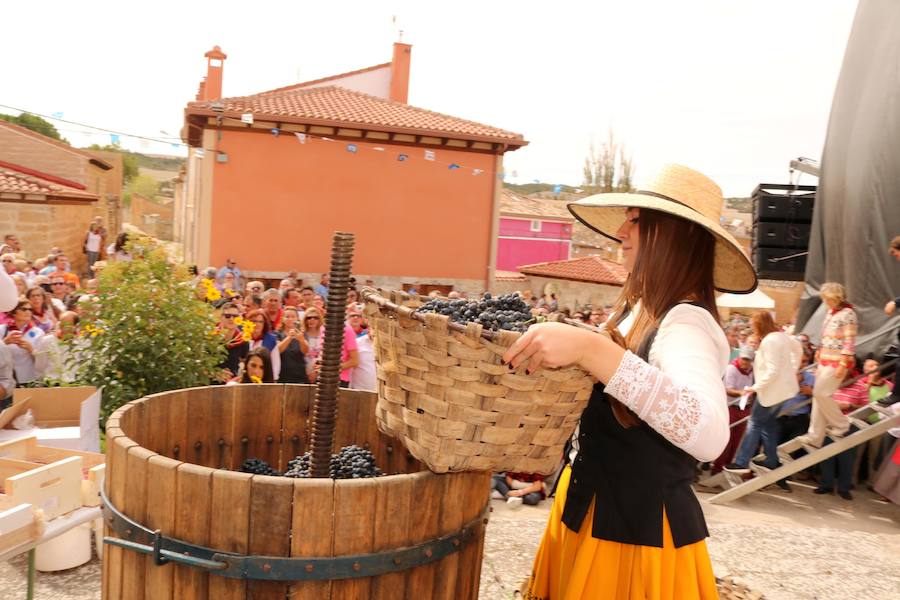XX Fiesta de la Vendimia del Arlanza en Valdecañas de Cerrato (1/3)