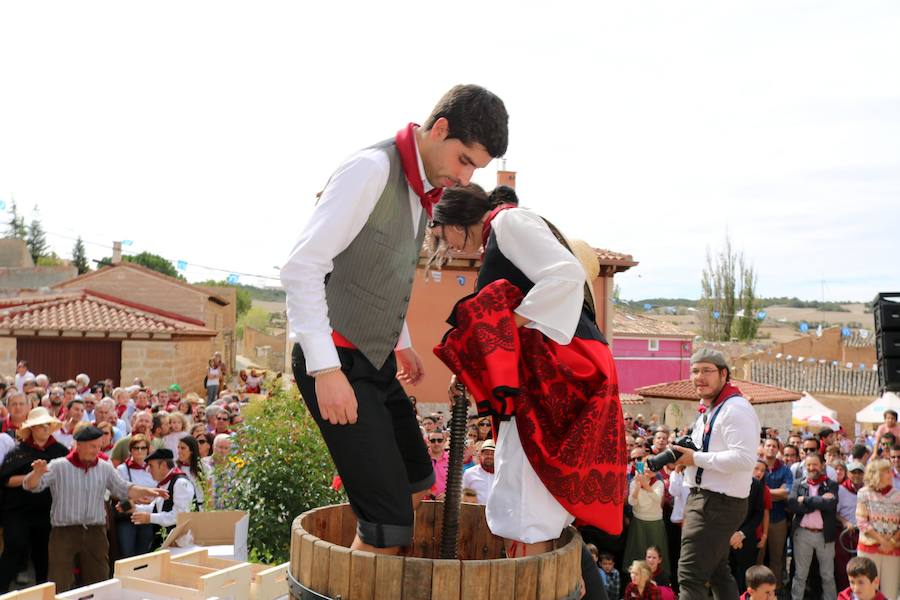 XX Fiesta de la Vendimia del Arlanza en Valdecañas de Cerrato (1/3)