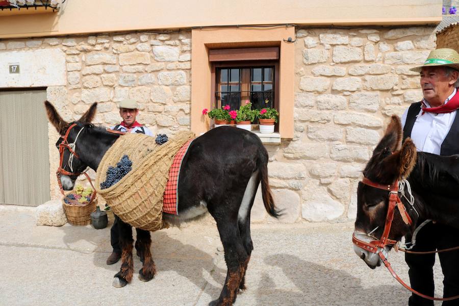XX Fiesta de la Vendimia del Arlanza en Valdecañas de Cerrato (1/3)