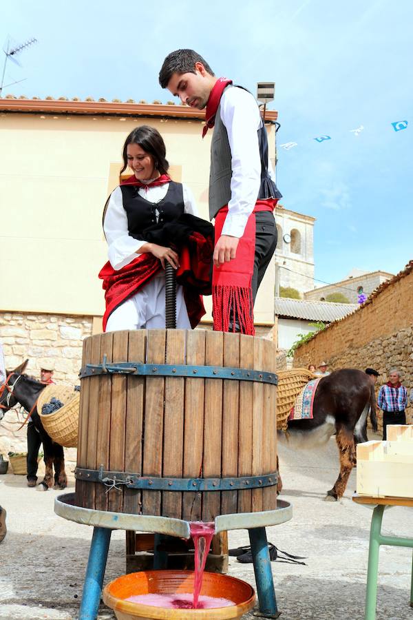 XX Fiesta de la Vendimia del Arlanza en Valdecañas de Cerrato (1/3)