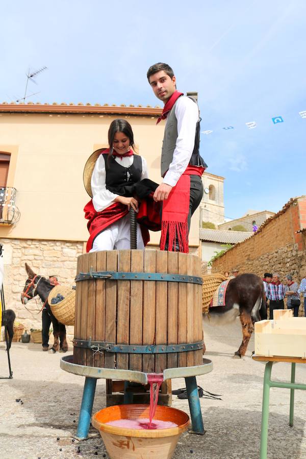 XX Fiesta de la Vendimia del Arlanza en Valdecañas de Cerrato (1/3)