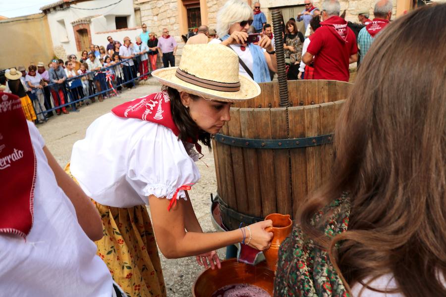 XX Fiesta de la Vendimia del Arlanza en Valdecañas de Cerrato (1/3)