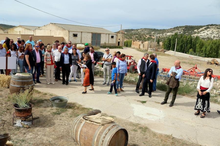 XX Fiesta de la Vendimia del Arlanza en Valdecañas de Cerrato (2/3)