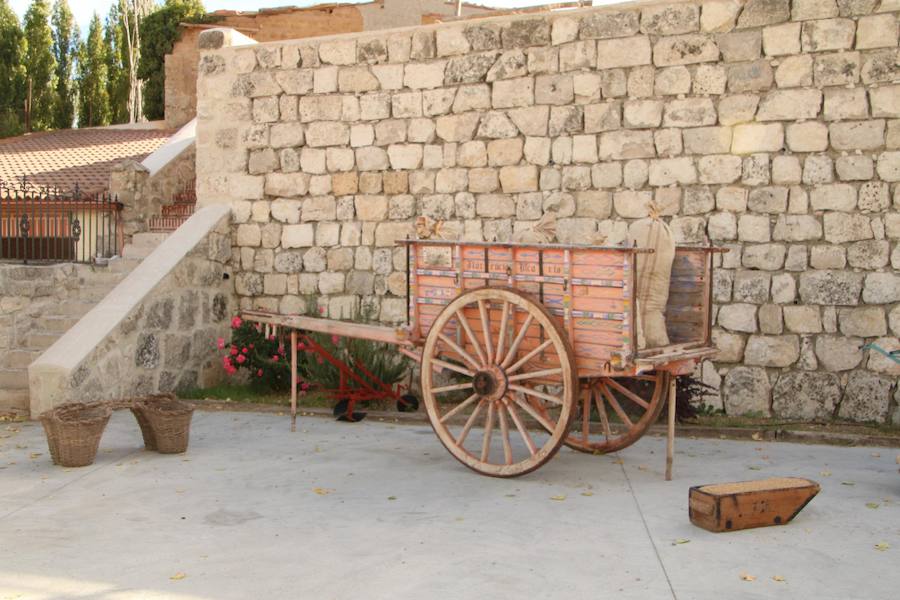 XX Fiesta de la Vendimia del Arlanza en Valdecañas de Cerrato (3/3)