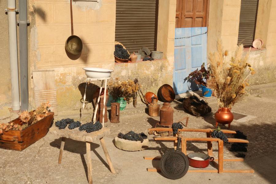 XX Fiesta de la Vendimia del Arlanza en Valdecañas de Cerrato (3/3)