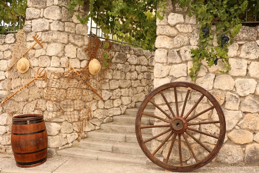 XX Fiesta de la Vendimia del Arlanza en Valdecañas de Cerrato (3/3)