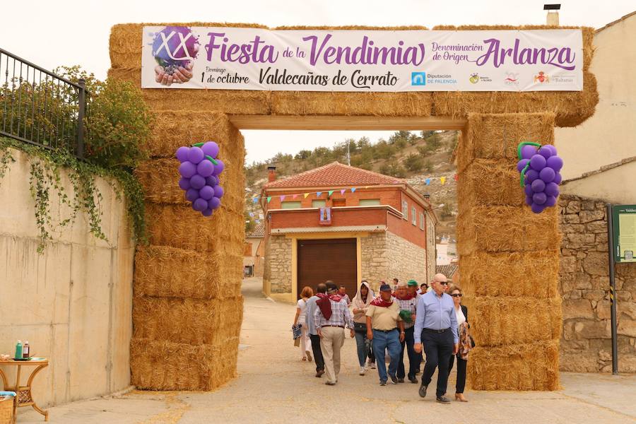 XX Fiesta de la Vendimia del Arlanza en Valdecañas de Cerrato (3/3)