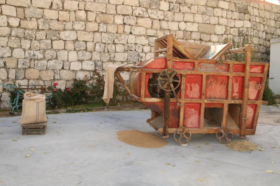 XX Fiesta de la Vendimia del Arlanza en Valdecañas de Cerrato (3/3)