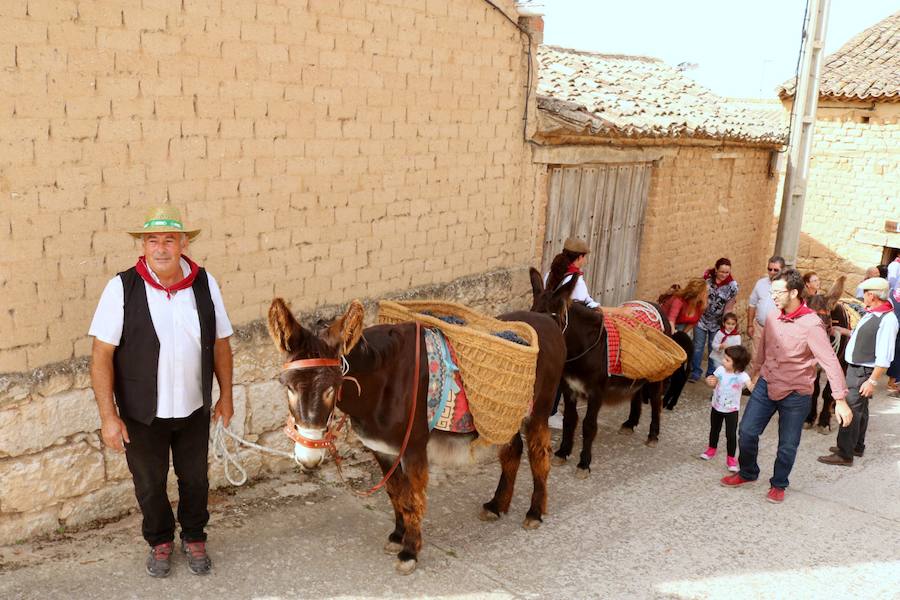XX Fiesta de la Vendimia del Arlanza en Valdecañas de Cerrato (3/3)