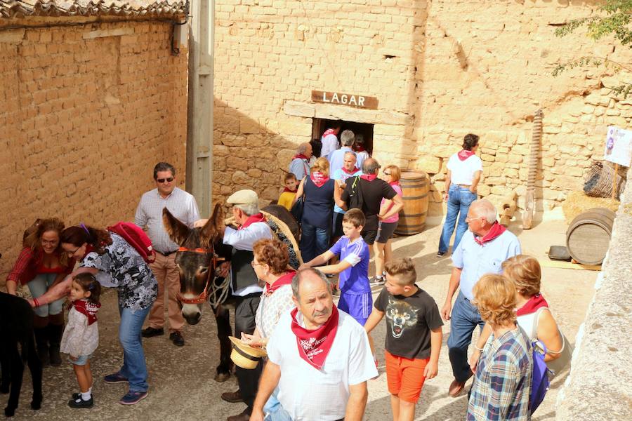 XX Fiesta de la Vendimia del Arlanza en Valdecañas de Cerrato (3/3)