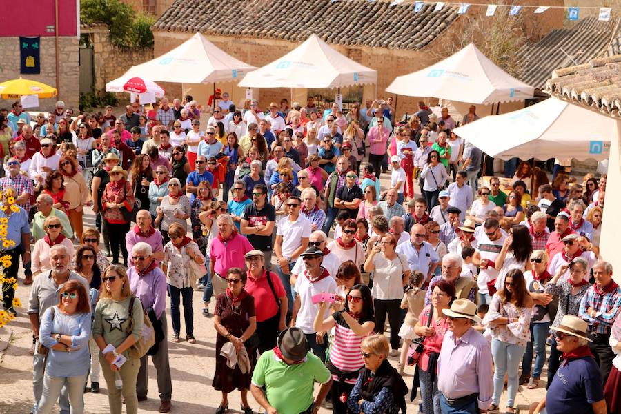 XX Fiesta de la Vendimia del Arlanza en Valdecañas de Cerrato (3/3)
