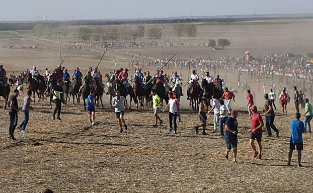 Cerca de doscientos caballistas participaron en el encierro campero de Olmedo.