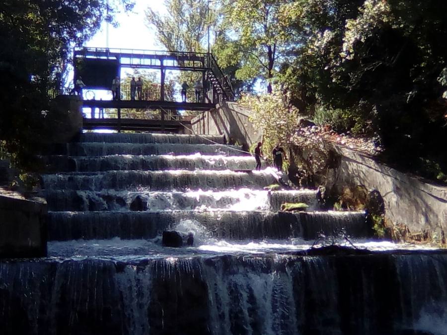Voluntarios de Los Amigos del Pisuerga se encontraron desde colchones hasta ruedas y capazos de bebé durante las tareas