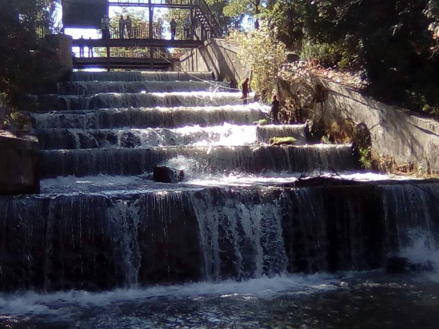 Voluntarios de Los Amigos del Pisuerga se encontraron desde colchones hasta ruedas y capazos de bebé durante las tareas