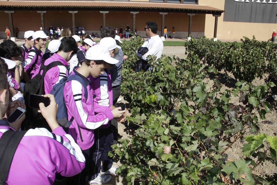 Durante la entrega de los galardones, los estudiantes participaron en distintas actividades de recreo y didácticas en un viñedo del grupo bodeguero familiar Emilio Moro, organizador del certamen