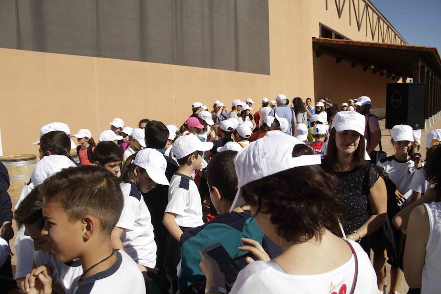 Durante la entrega de los galardones, los estudiantes participaron en distintas actividades de recreo y didácticas en un viñedo del grupo bodeguero familiar Emilio Moro, organizador del certamen