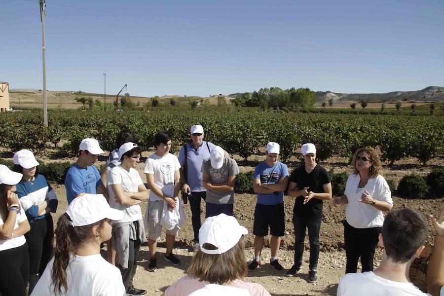 Durante la entrega de los galardones, los estudiantes participaron en distintas actividades de recreo y didácticas en un viñedo del grupo bodeguero familiar Emilio Moro, organizador del certamen