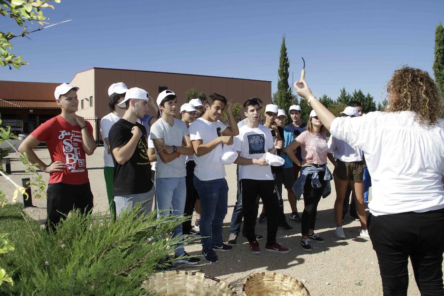 Durante la entrega de los galardones, los estudiantes participaron en distintas actividades de recreo y didácticas en un viñedo del grupo bodeguero familiar Emilio Moro, organizador del certamen