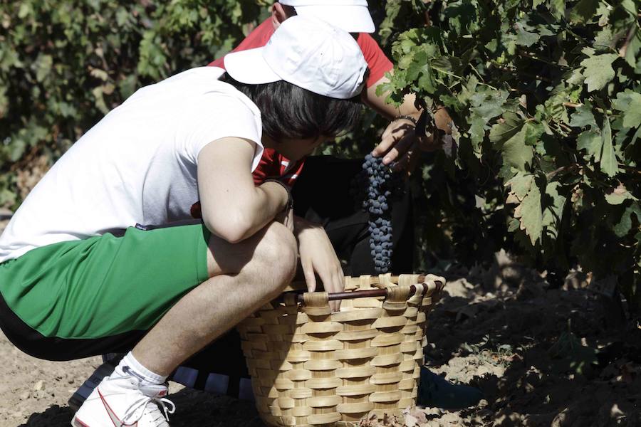 Durante la entrega de los galardones, los estudiantes participaron en distintas actividades de recreo y didácticas en un viñedo del grupo bodeguero familiar Emilio Moro, organizador del certamen