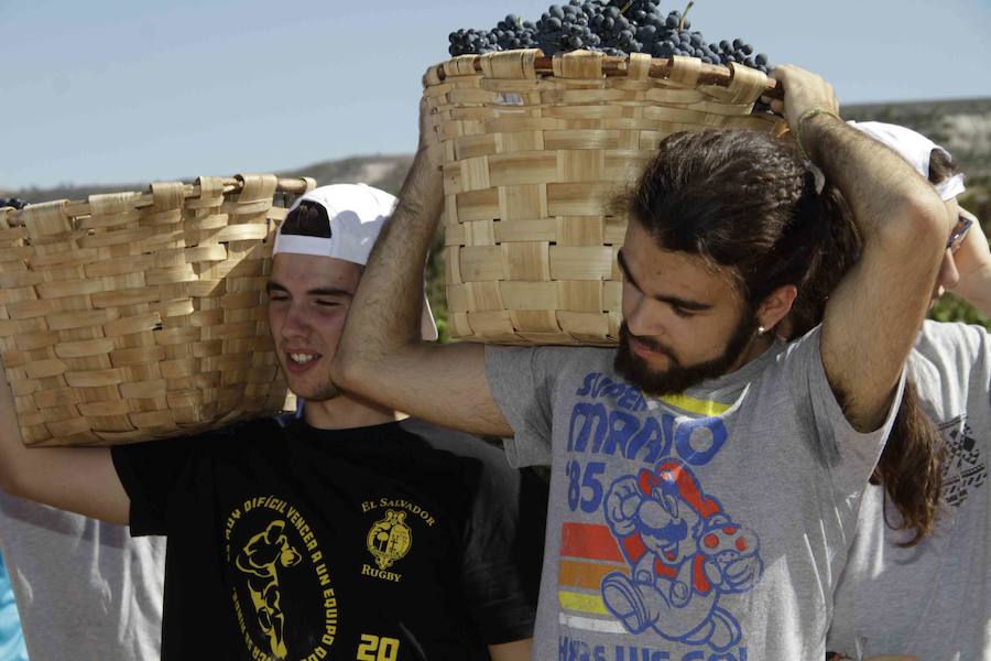 Durante la entrega de los galardones, los estudiantes participaron en distintas actividades de recreo y didácticas en un viñedo del grupo bodeguero familiar Emilio Moro, organizador del certamen