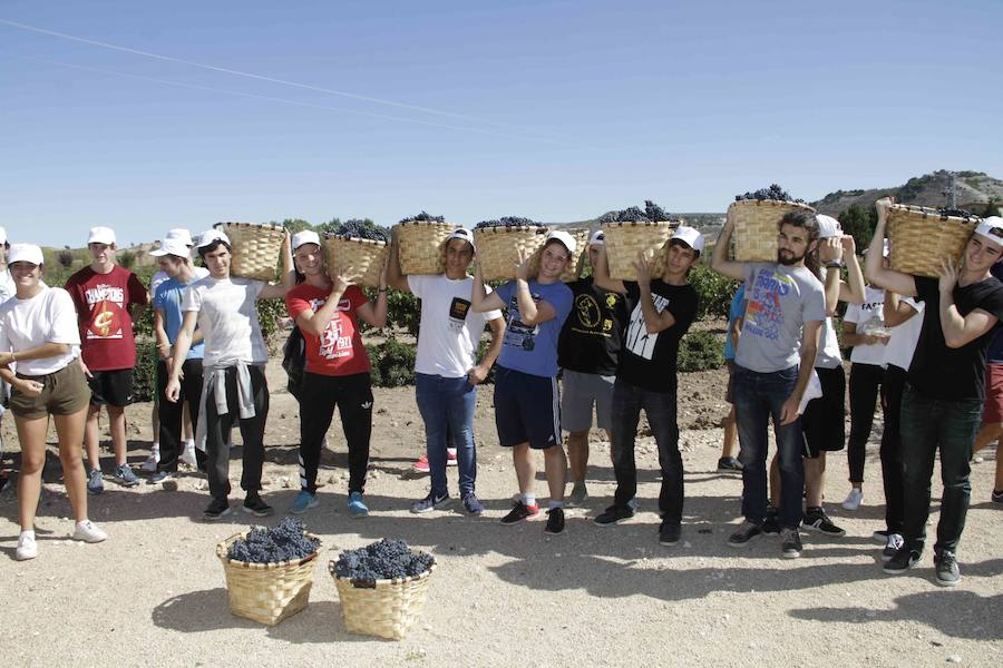 Durante la entrega de los galardones, los estudiantes participaron en distintas actividades de recreo y didácticas en un viñedo del grupo bodeguero familiar Emilio Moro, organizador del certamen