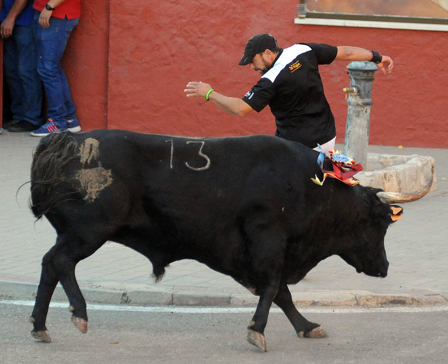 Toro en cajón en la Fiesta de la Vendimia de Rueda