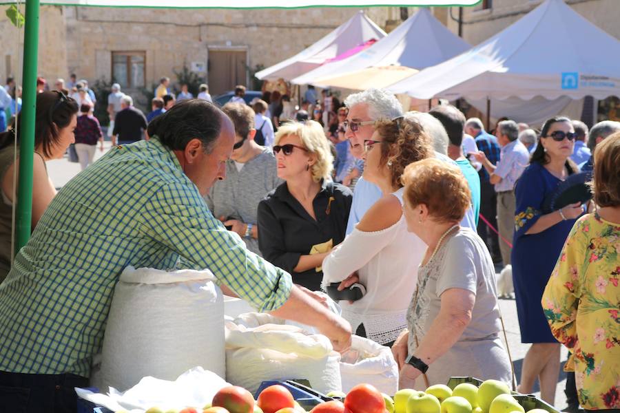 Feria de la Cebolla en Palenzuela