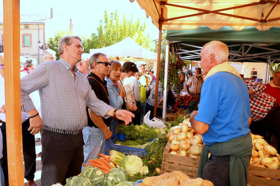 Feria de la Cebolla en Palenzuela