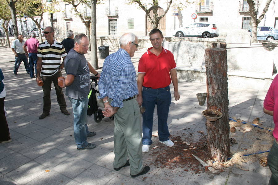 Fiesta de la resina en Cuéllar