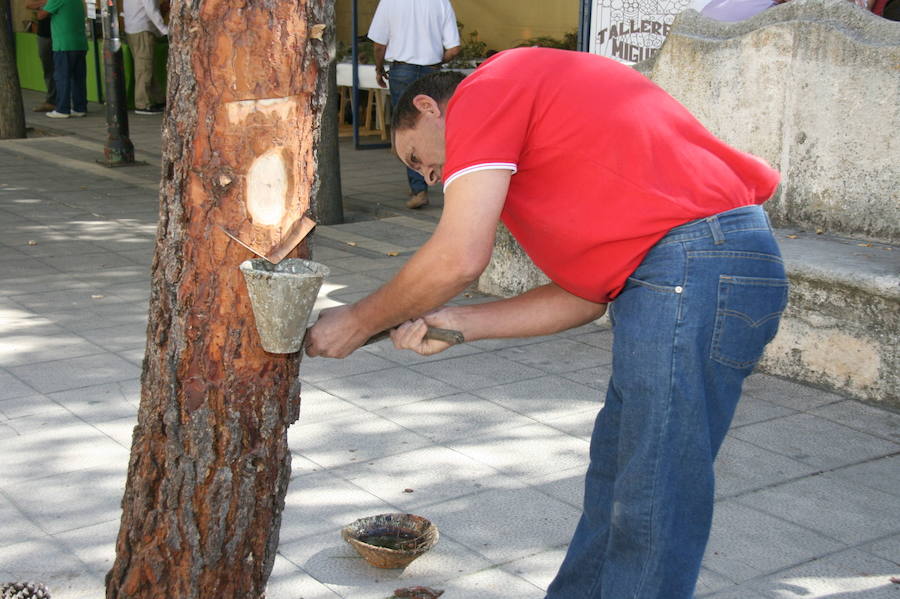 Fiesta de la resina en Cuéllar