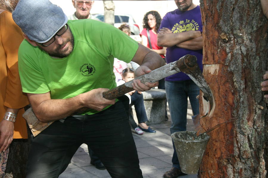 Fiesta de la resina en Cuéllar
