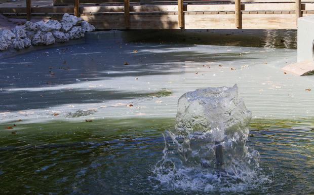 El estanque de La Alamedilla, con el agua verde y cubierta de una película blanca. 