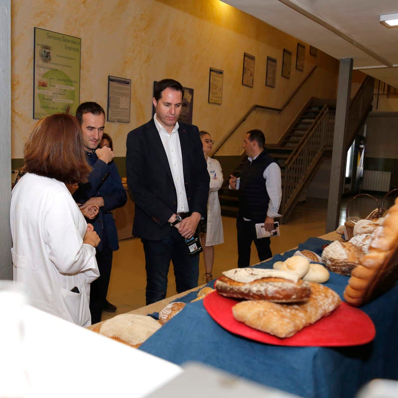 Los panaderos, el Centro Tecnológico del Cereal, El Norte de Castilla y la Diputación se unen para difundir las propiedades alimenticias del pan artesano que se elabora en la provincia