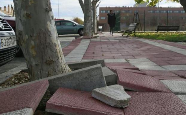 Estado de una de las calles de Santa Ana. 