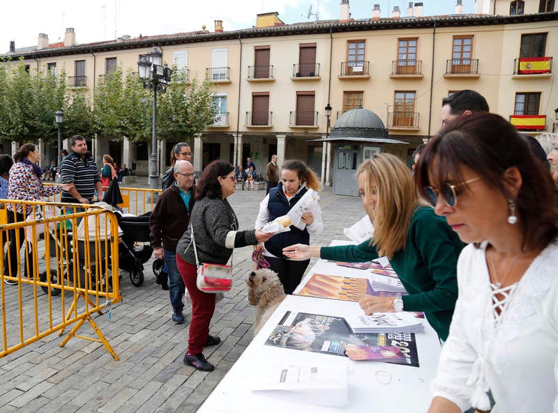 Reparto de fabiolines en la Plaza Mayor de Palencia con motivo de la Semana del Pan