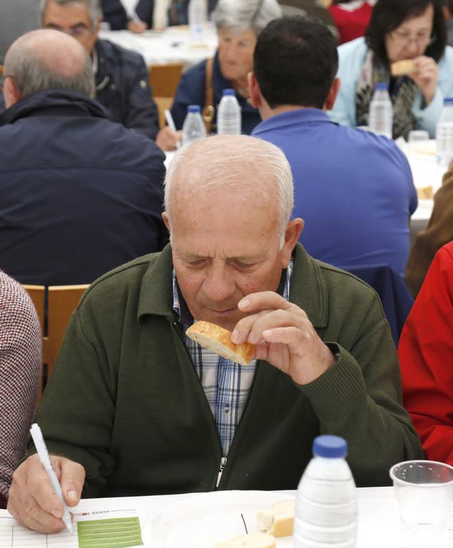 I Cata de pan organizada por El Norte de Castilla en Palencia