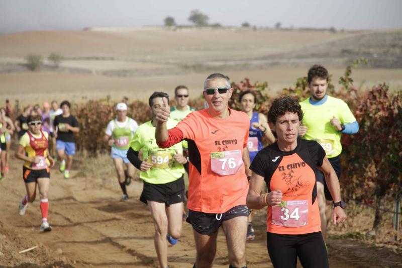 Carrera en Pesquera de Duero del circuito Entre Viñas (1/2)