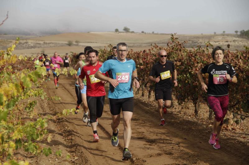 Carrera en Pesquera de Duero del circuito Entre Viñas (1/2)