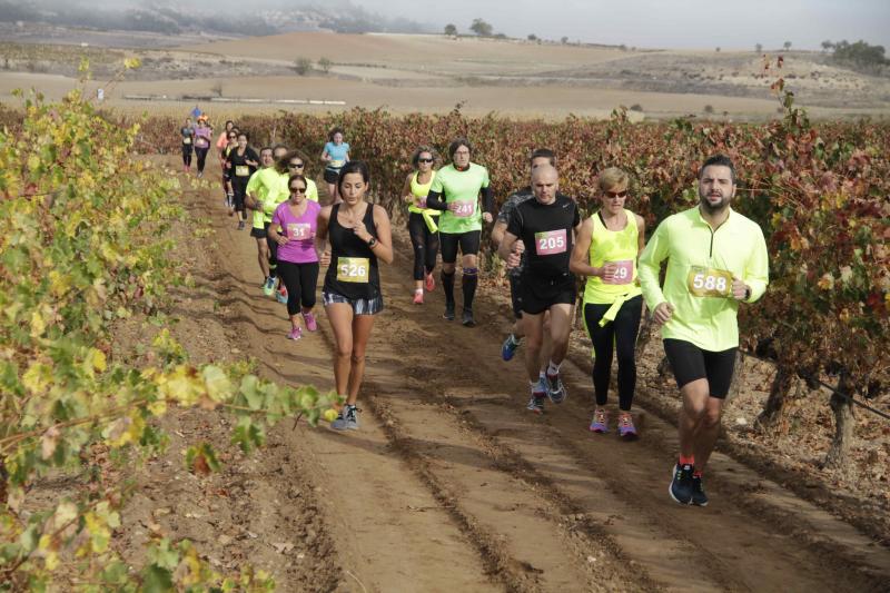 Carrera en Pesquera de Duero del circuito Entre Viñas (1/2)