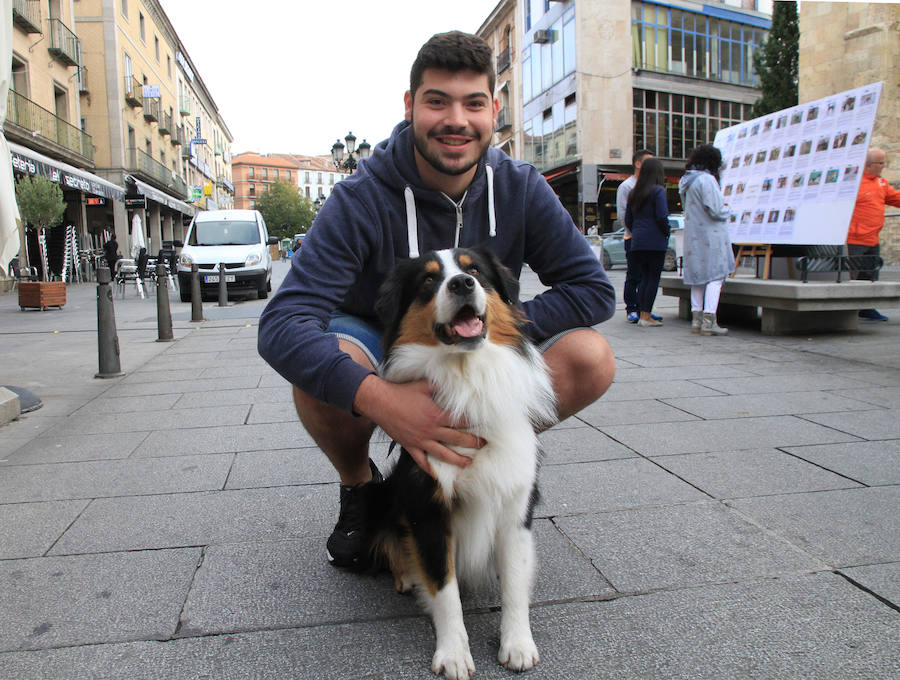 Segovia celebra el Día Mundial de los Animales