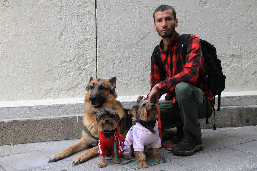 Segovia celebra el Día Mundial de los Animales