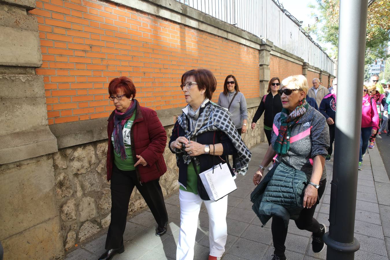 Miles de vallisoletanos se han vestido hoy de verde para salir a la calle en una marcha histórica