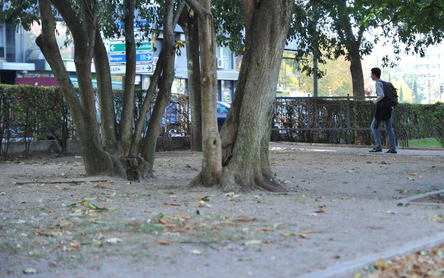 Los efectos de la sequía en los jardines públicos de Valladolid