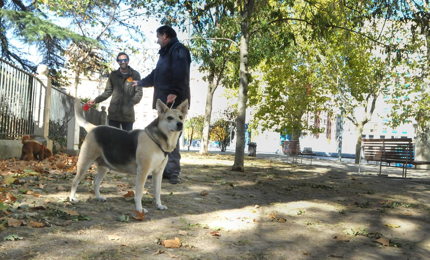 Los efectos de la sequía en los jardines públicos de Valladolid