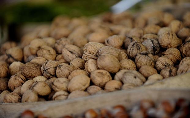 Comer nueces mejora la calidad del esperma