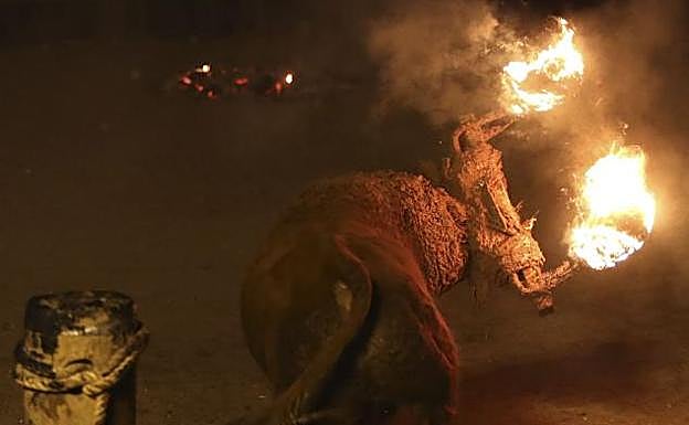 Toro jubilo de Medinaceli.