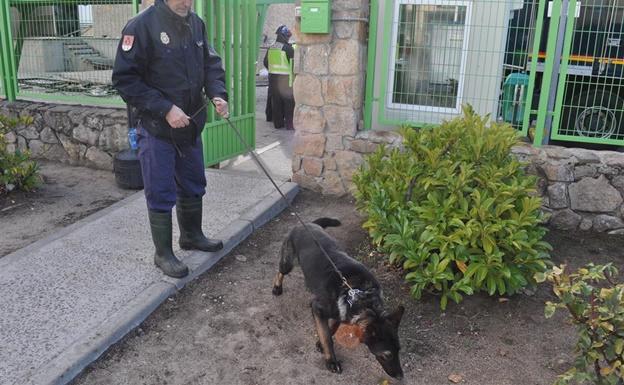 Un perro busca acelerantes del fuego en la nave de Ornua