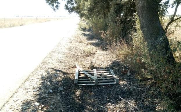 Basura en las cunetas de la provincia de Valladolid